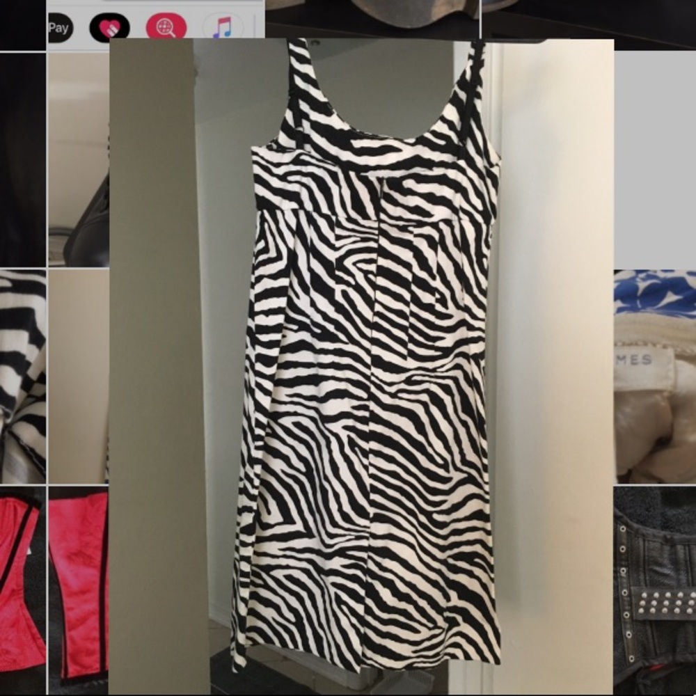 Zebra pinup dress